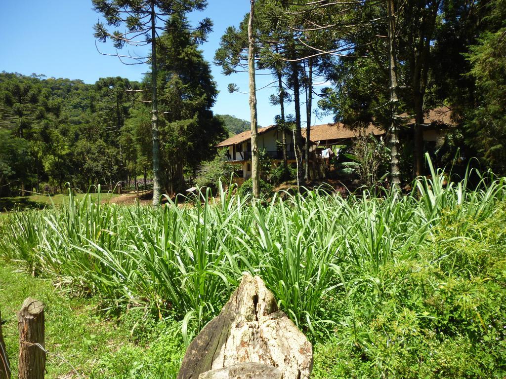 Apartamento Ferias Fazenda Usina 1 Bocaina de Minas Ngoại thất bức ảnh